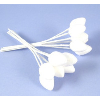 Blumenkegel