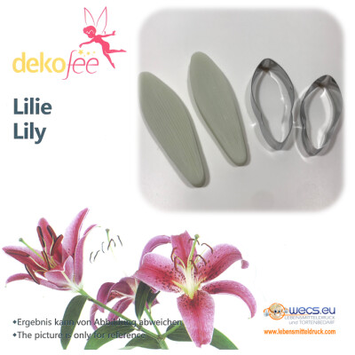 Lilie Lily Ausstecher und Veiner Set von Dekofee  5 teilig