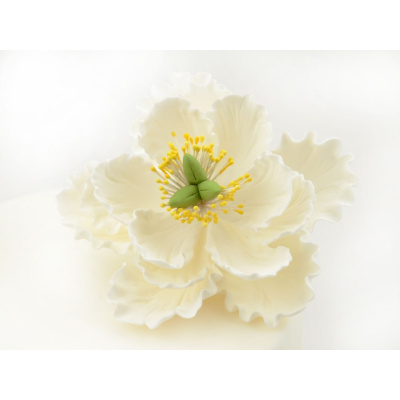 Pfingstrose Penoy weiß 1 Stück - Feinzucker Blumen - Durchmesser  ca 114 mm - gedrahtet - daher Blätter beweglich - können noch individuell bemalt werden