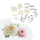 Pfingstrose Peony Edelstahl Ausstecher mit  Silikon Veinern Set 13-teilig von Dekofee