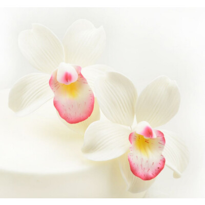 Cymbidium Orchidee 2 Stk. Pkg  Feinzucker Blumen - gedrahtet - daher Bl&auml;tter beweglich