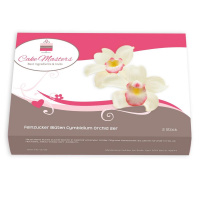 Cymbidium Orchidee 2 Stk. Pkg  Feinzucker Blumen -...