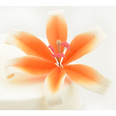 Lilie wei&szlig; orange Feinzucker Blume - Durchmesser  ca 127 mm - gedrahtet - daher Bl&auml;tter beweglich