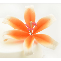 Lilie wei&szlig; orange Feinzucker Blume - Durchmesser  ca 127 mm - gedrahtet - daher Bl&auml;tter beweglich