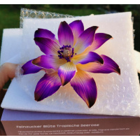 Tranquille tropische Seerose lila  Feinzucker Blume - Durchmesser  ca 127 mm - gedrahtet - daher Bl&auml;tter beweglich