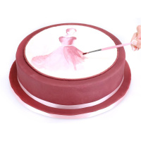 Künstlerpinselset 5 teilig Flachpinsel mit rosa...