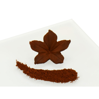 Rainbow Dust Powder Colour Brown Chocolate 2 g - Schokolade Braun Pulver Lebensmittelfarbe
