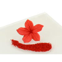 Rainbow Dust Powder Colour Chili Red - Chili Rot 2 g...