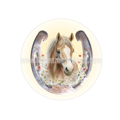 Pferd Hufeisen  Geburtstag Tortenbild Aufleger rund 15 cm