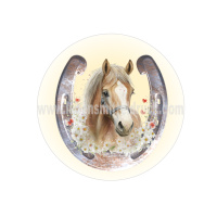 Pferd Hufeisen  Geburtstag Tortenbild Aufleger rund 15 cm