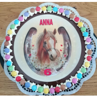 Pferd Hufeisen  Geburtstag Tortenbild Aufleger rund 15 cm