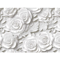 Rosen wei&szlig; 3D - Tortenband essbar 6,5 cm hoch - 3 x 29,6 cm auf premium Fondantpapier