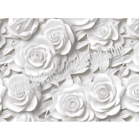Rosen weiß 3D - Tortenband essbar 6,5 cm hoch - 3 x 29,6 cm auf premium Fondantpapier