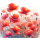 Mohn Blume Wiese - Tortenband essbar 6,5 cm hoch - 3 x 29,6 cm auf premium Fondantpapier