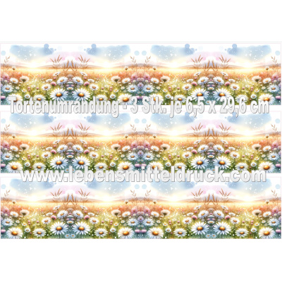 Margerite G&auml;nsebl&uuml;mchen Wiese - Tortenband essbar 6,5 cm hoch - 3 x 29,6 cm auf premium Fondantpapier