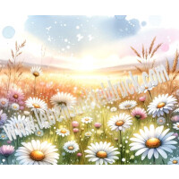 Margerite Gänseblümchen Wiese - Tortenband essbar 6,5 cm hoch - 3 x 29,6 cm auf premium Fondantpapier