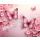 Schmetterlinge pink Blumen - Tortenrand 6,5 cm essbar 3 x 29,6 cm auf premium Fondantpapier