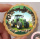 Traktor grün 3D rund  Keks / Cupcake Aufleger 1 Seite A4 Fondantpapier Premium extraweiß - extraglatt Ausstanzung rund  3,8 cm 35 Stk.