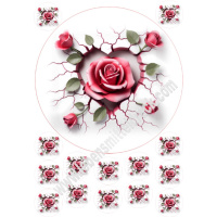 Rose Herz 3D Tortenbild 20 cm rund mit Keksauflegern in 3,8 cm auf Premium Fondantpapier