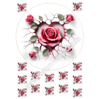 Rose Herz 3D Tortenbild 20 cm rund mit Keksauflegern in...