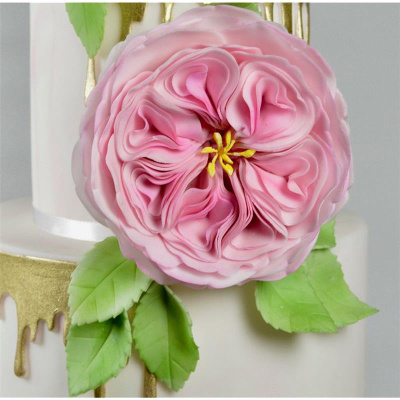 Englische Rose - David Austin Rose Ausstecher Set 3 teilig - A very english Rose  Cutter von  fmm - Größen Durchmesser 11 cm, 9,5 cm,