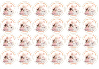 Prinzessin Pferd Schloss rosa rund  Aufleger  klein 1...