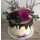 5 Stk. Cake Board rund weiß MDF 20 cm x 3 mm  - dünne extra stabile Holzfaser Tortenplatte