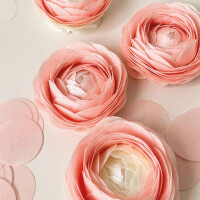 Oblatenpapier dünn baby rosa 0,3 mm 10 Blatt A4 von...