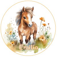 Pferd Fohlen braun Wiese  Tortenaufleger 20 cm rund mit...