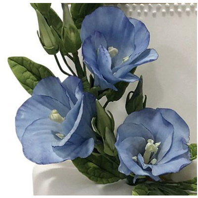 Lisianthus, Pr&auml;rie Enzian, Eustoma Ausstecher Set 3 teilig - Lisianthus  Cutters von  fmm