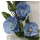 Lisianthus, Prärie Enzian, Eustoma Ausstecher Set 3 teilig - Lisianthus  Cutters von  fmm