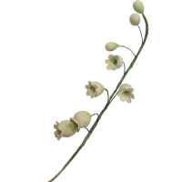 Maiglöckchen  Ausstecher Set 2  teilig - Lily of the Valley  Cutters von  fmm Durchmesser 18 und 13 mm