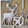 50er